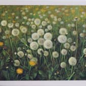 Одуванчики. Большое семейство.