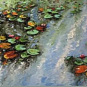 Август на пруду