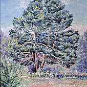 Этюд "Сосна"