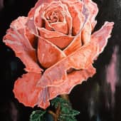 Роза, сюжет 2