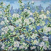 Этюд весенней яблони