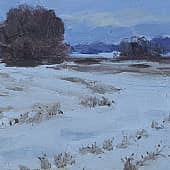 зимний этюд