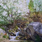 С ручейка,начинается река..