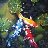 Толстячки КОИ