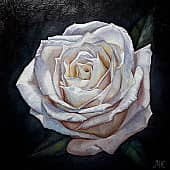 Портрет Розы Влюбленность