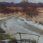 Последний лед. Река Вожа