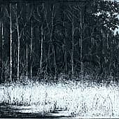 Зимняя поляна  The Winter Meadow