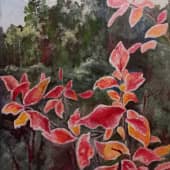 Очей очарованье