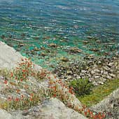 Прибрежные маки