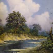 Владыка леса - дуб могучий