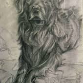 Чёрный малыш