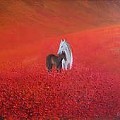 Маковое поле