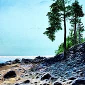 Летний день