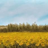 Подсолнухи