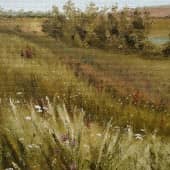 Пойма Еманчи