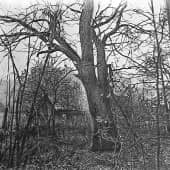 Осенний пейзаж