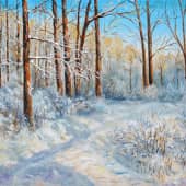 Солнечный зимний день