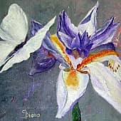 Бабочка и ирис.