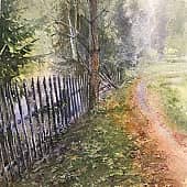 Заброшенный сад