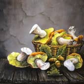 Лесных даров полное лукошко