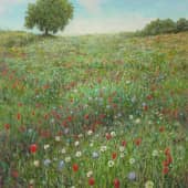 Поле цветов