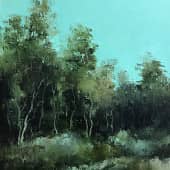 Пестовский парк. Вечер