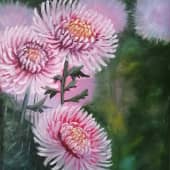 Хризантемы