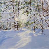 В зимнем лесу.