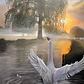 Здравствуй новый день