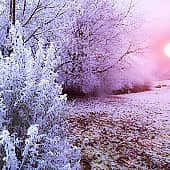 Зимние рассветы