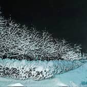 Зимний пейзаж 0102