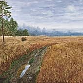 Русское поле