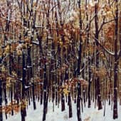 Зимний день  The Winter Day