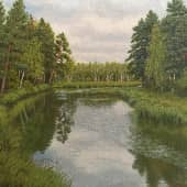 Мещёрский национальный парк. Река Пра.