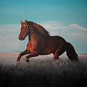 Лошадь в степи