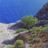 У самого синего моря