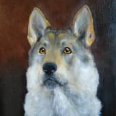 Замри и не шевелись