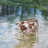 Летний зной.