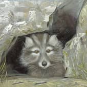 Любопытство