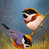 Пичужки-веселые подружки