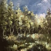 Пестовский парк. При луне