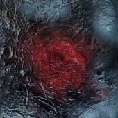 Разрыв нити