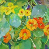 "Настурция"