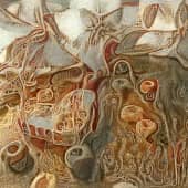 Стол Иеронима Босха