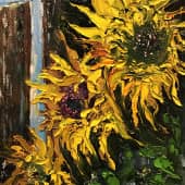 Вечерние подсолнухи