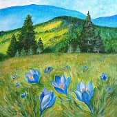 Горные крокусы