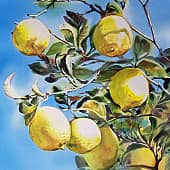 Страна Лимония