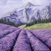 Лавандовое поле