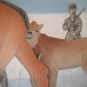 Лошади Пржевальского. Николай Пржевальский.