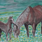 Лошадки на поляне.